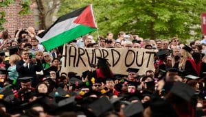 pro-Palestinian