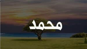 Muhammad