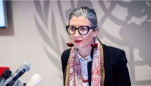 rapporteur