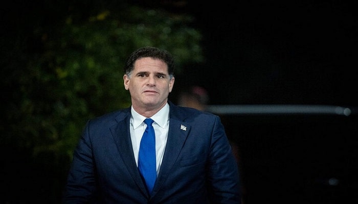 Dermer
