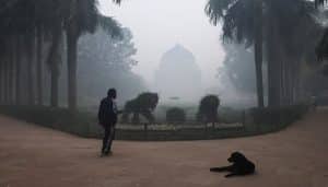 New Delhi