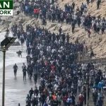 migrants