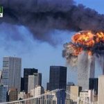 domestic