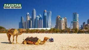 Gulf States